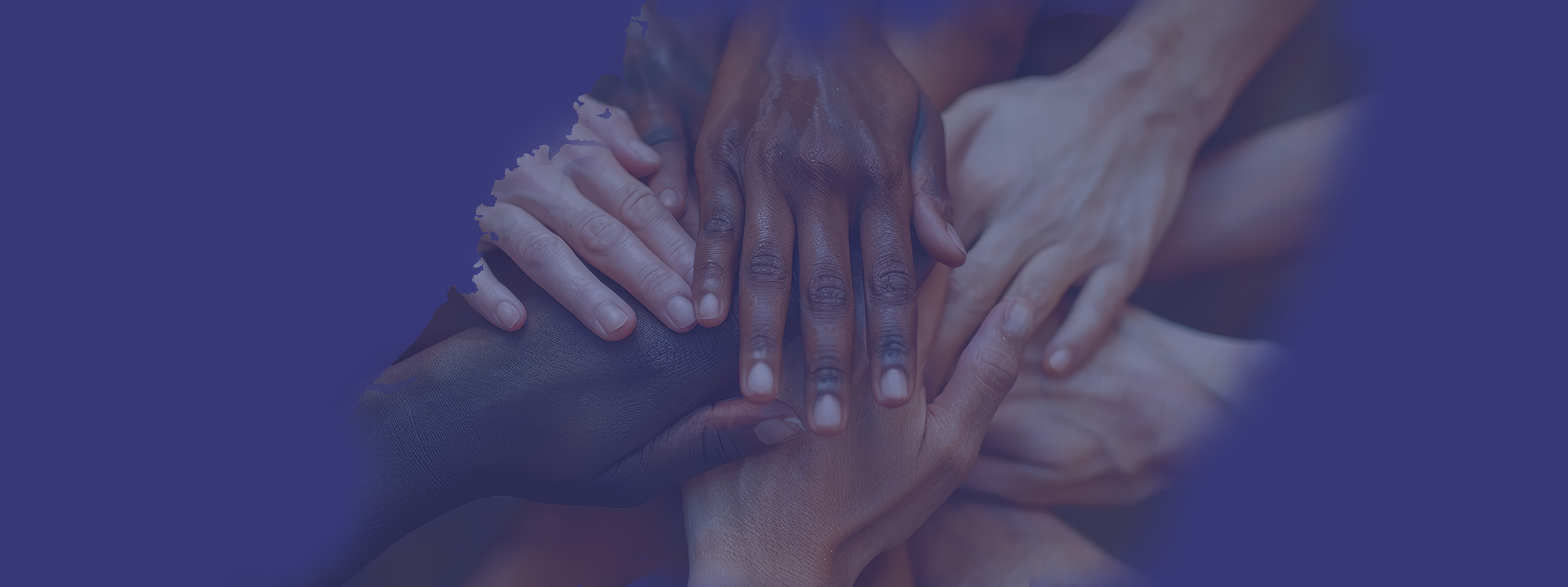 Creative professionals collaborating